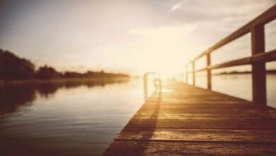 The power of radical acceptance 4