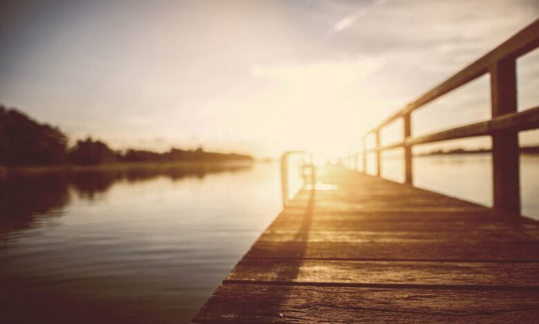 Learn more about dialectical behavior therapy 1