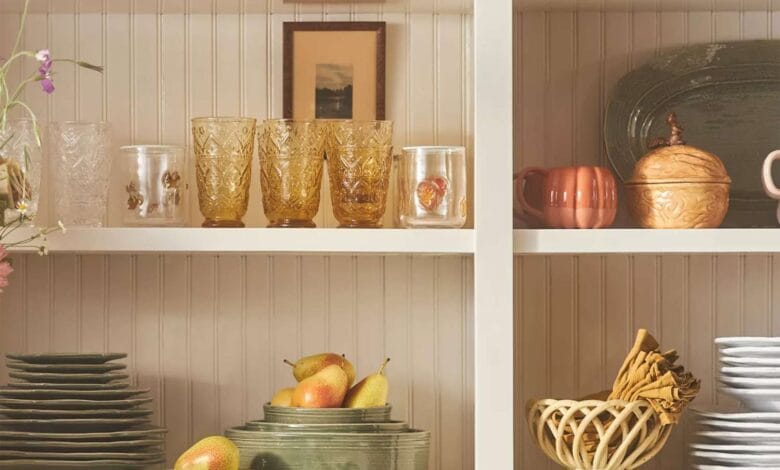 Top 12 Anthropology Deals for October 2025, starting at $10. 1